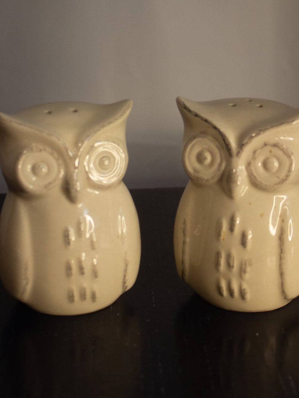 Ceramic Owl Salt & Pepper Shakers – Cute Farmhouse Kitchen Décor – Vintage Style